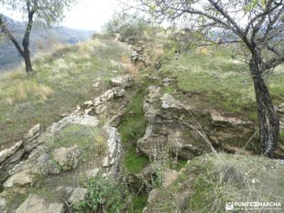 Valle del Genil:Naturaleza Sierra Nevada; paginas de viaje parque natural de liencres pueblos serran